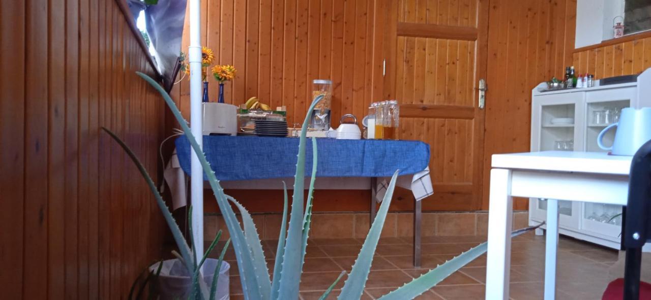 B&B Paraiso Del Sol Maspalomas  Eksteriør billede
